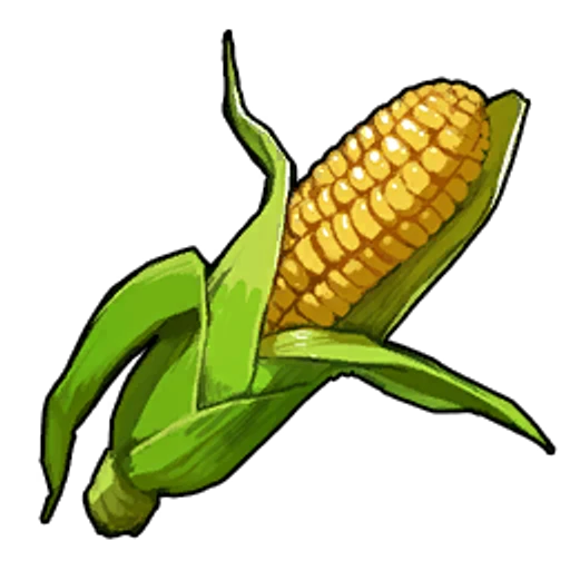 corn