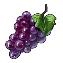 grape