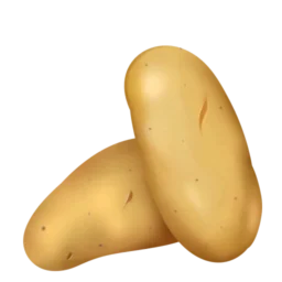 potato